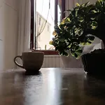 La Guglia - Guglia House Apartment-cannaregio-venezia